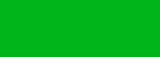 #00b51a Color Information
