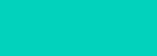 #00d2bc Color Information