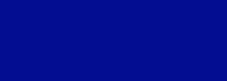 #010d8e Color Information