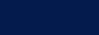 #011b4e Color Information