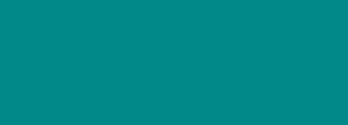 #018889 Color Information