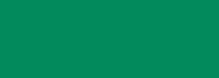 #018a5c Color Information