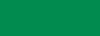 #018b4e Color Information