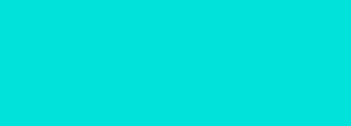 #01e3da Color Information