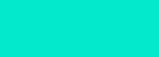 #02e8c9 Color Information