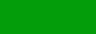 #039d0a Color Information