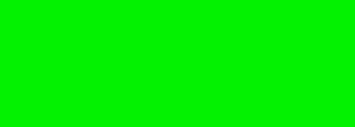 #03f201 Color Information
