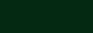 #042912 Color Information