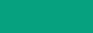 #06a27f Color Information