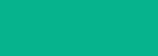 #06b38d Color Information