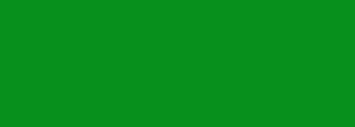 #07901b Color Information