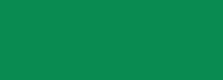 #098b51 Color Information