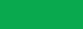 #09a94e Color Information