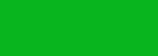 #09b51f Color Information