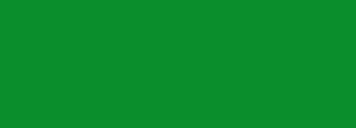 #0a8e2c Color Information
