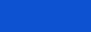 #0b51d0 Color Information