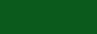 #0b5a1c Color Information