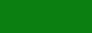 #0b7f11 Color Information