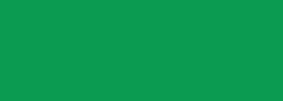 #0b9b51 Color Information
