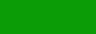 #0b9c06 Color Information