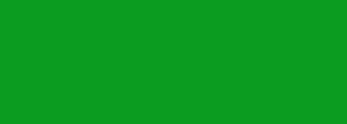 #0b9c20 Color Information