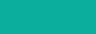 #0bae9c Color Information