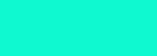 #0ff9d0 Color Information