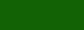 #126205 Color Information