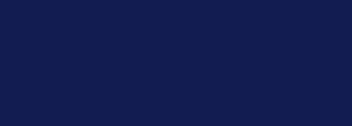#141b51 Color Information