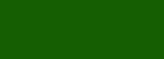 #155e01 Color Information