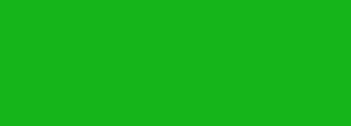 #15b51a Color Information