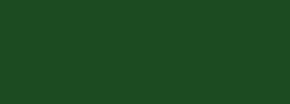 #1a4c20 Color Information