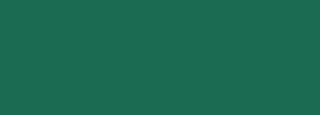 #1a6b51 Color Information