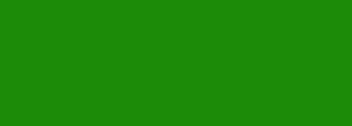#1a8c05 Color Information