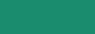 #1a8c6e Color Information