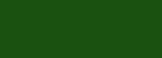 #1b5110 Color Information