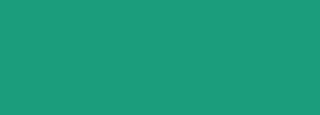 #1b9d7c Color Information