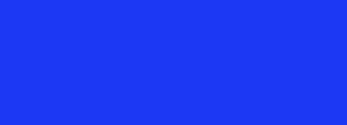 #1c38f5 Color Information