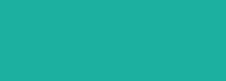 #1cb0a0 Color Information