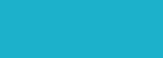 #1cb1cb Color Information