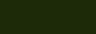 #1d2a08 Color Information