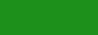 #1d901b Color Information