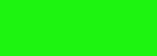 #1df511 Color Information