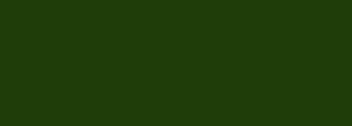 #1e3d08 Color Information