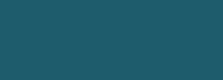 #1e5c6c Color Information