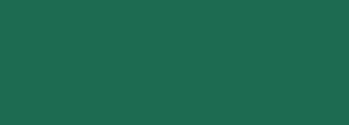 #1e6b51 Color Information