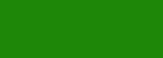 #1e8708 Color Information