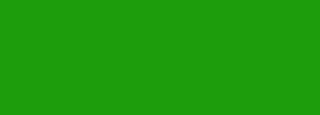#1e9d0c Color Information