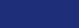 #1f2e7b Color Information