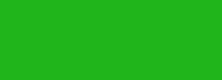 #20b51a Color Information